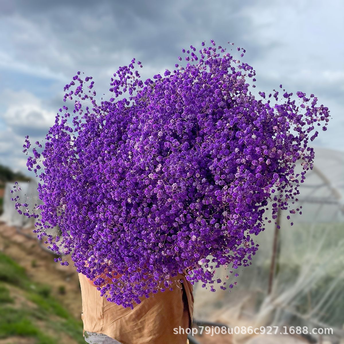 딥퍼플(450g)±30g