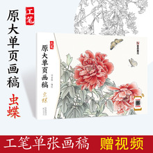 墨点美术工笔原大单页画稿虫蝶传统国画白描稿技法基础步骤详解