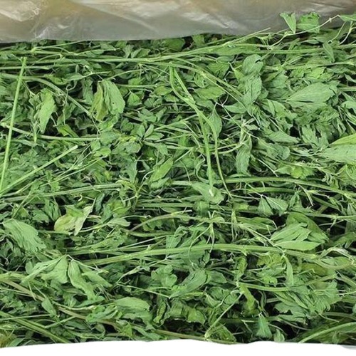 Rabbit hay, alfalfa grass, baby rabbit pet pig pasture feed, alfalfa grass generation