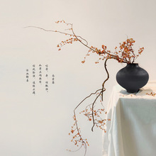 ��ɫ�й��չ��մɻ�ƿ�[���������ղ���С����ˇƷ�b�