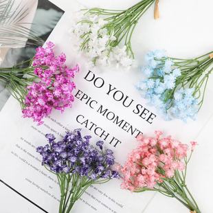 ����M���ǼҾ��b�c��Y����Gֲ�����M���������r��������
