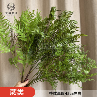 �¿�ާGֲɭϵ��Y�廨�b�cˮ����Y�O���׾G�ҾӔ[��