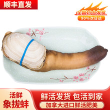 �����͡����r�����ô��r����ΰ� �M�ڰװ���ǰ��Ӱ� ؐ�����