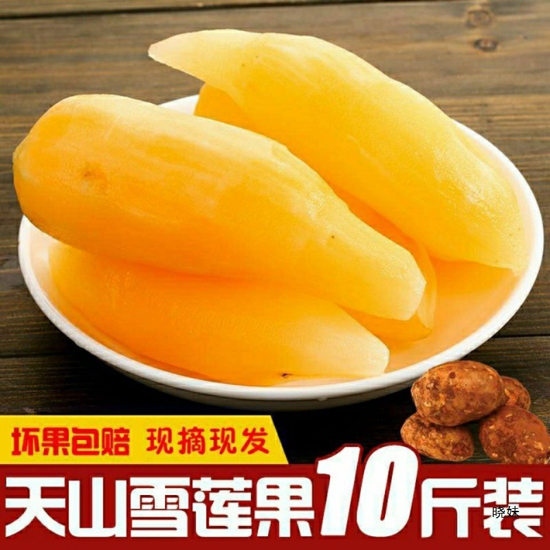 云南天山雪莲果10斤现挖现发产地直发红泥沙应季水果直发特产多汁