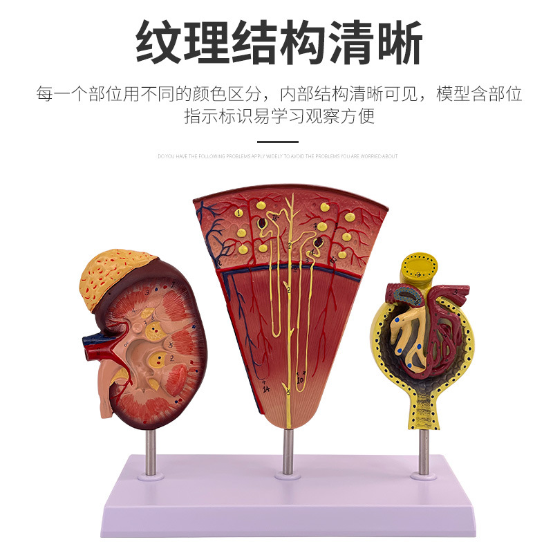 ��������λ ��С��ģ�� ������ģ�� ����ģ�� �������ģ�� ����