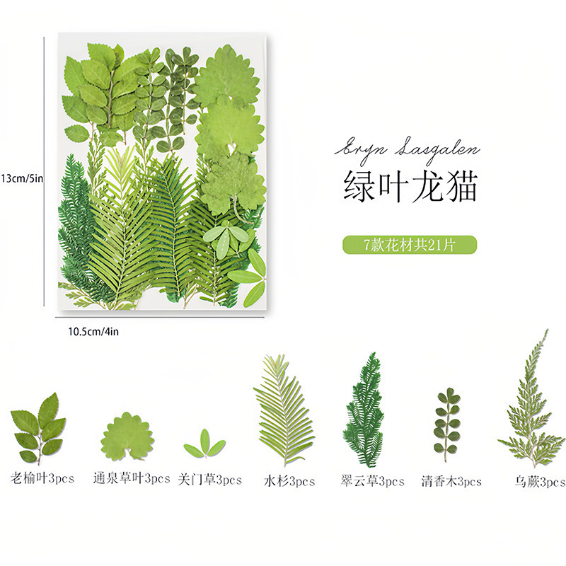 干花diy材料包永生花压花片押花草手工滴胶书签真花植物树叶标本|undefined