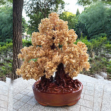 �Sˮ���u�X��[���޴�lؔ���Ҿӄ���ƙ����b�Ʒ�͏d�ҕ��