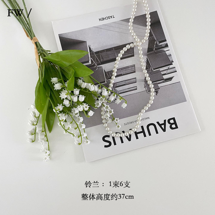 选项1.jpg