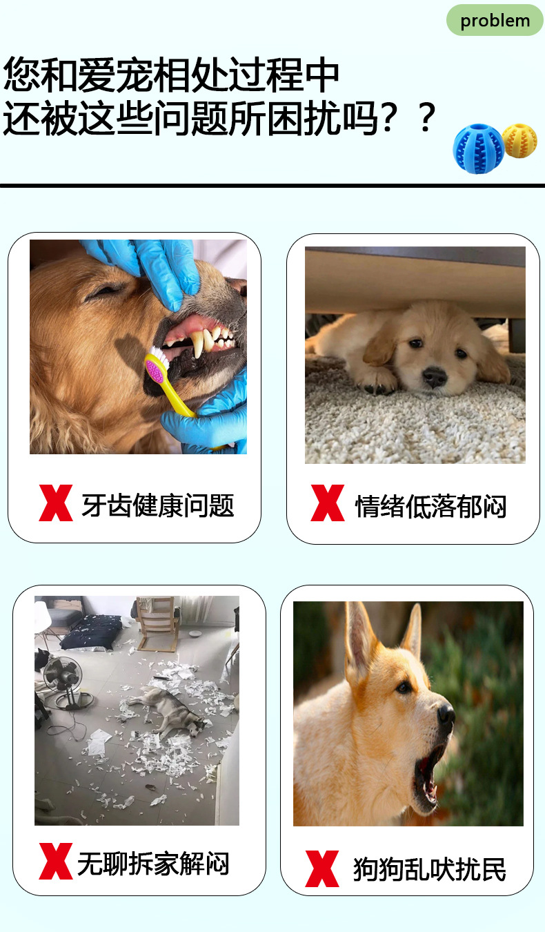 详情2.jpg