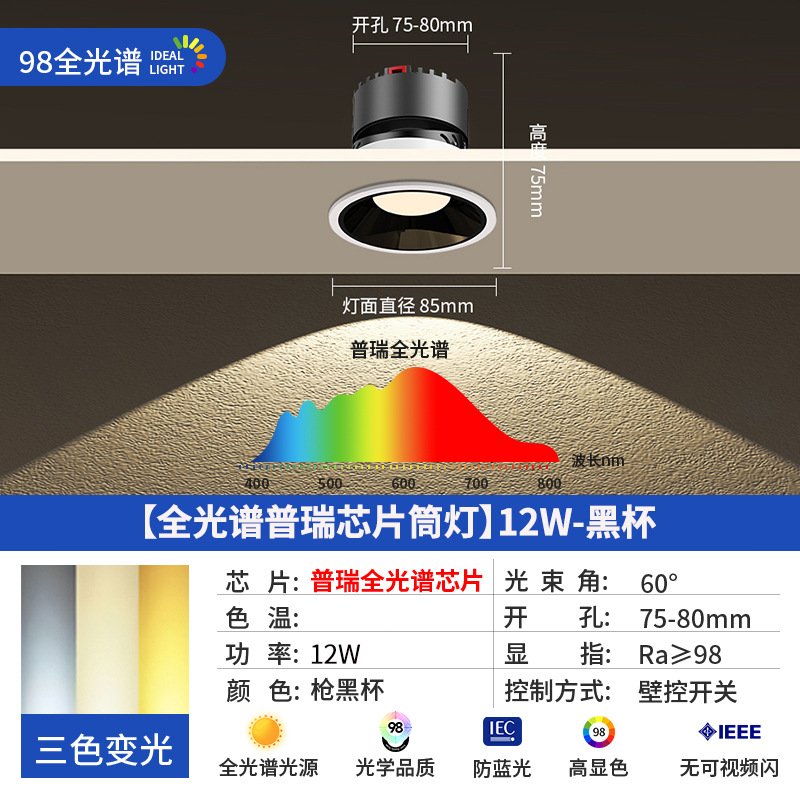 [full spectrum bridgelux chip downlight] 12w-black cup