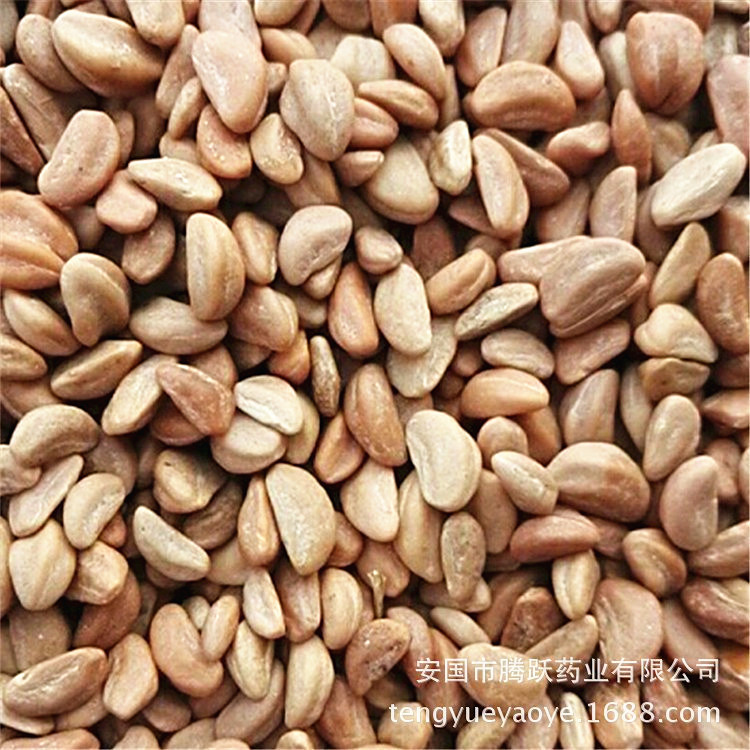 Dried Hawthorn Seeds Shan Zha Zi Bulk Herbal Filling Material for Cushions and Pillows quality and texture