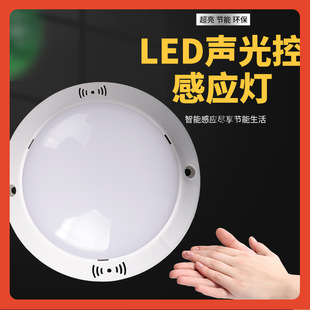 Beta Voice Control Lamp 5w Corridor LED Voice Control Integrated Lamp Radar Induction Bulb Wired Human Body Induction Corridor Lamp Walk