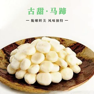 【古恬】清水马蹄整粒 马蹄丁 马蹄罐头 出口马蹄 荸荠罐头
