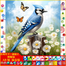 5D�ʯ��DIY�ʯ�����|AB�ɉm��֬荄����B�͏d�b�һ�����l