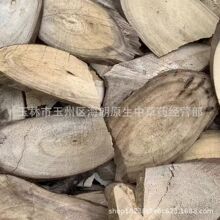 ��ș�� 500�� ������ ɽ�n�� ľ���� �Mɽ�� �a��ֱ�� �F؛���l