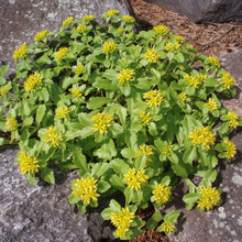 �������ļ��׷N���羰�^�@���̨����ͥԺ�����ͺ��ͺ��޸�����