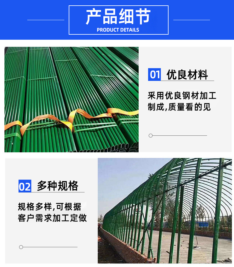 1_04.jpg