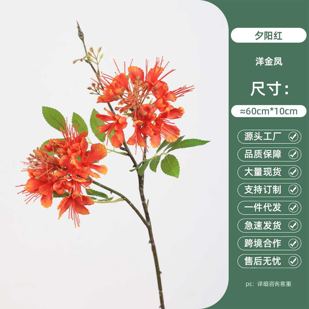선셋 레드