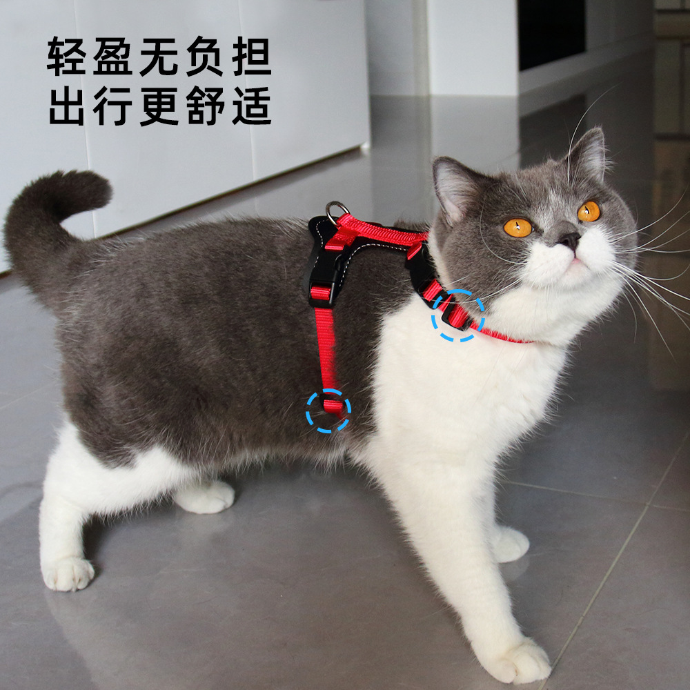 跨境直供猫咪牵引绳防挣脱外出专用溜猫绳子宠物胸背带链子可调节