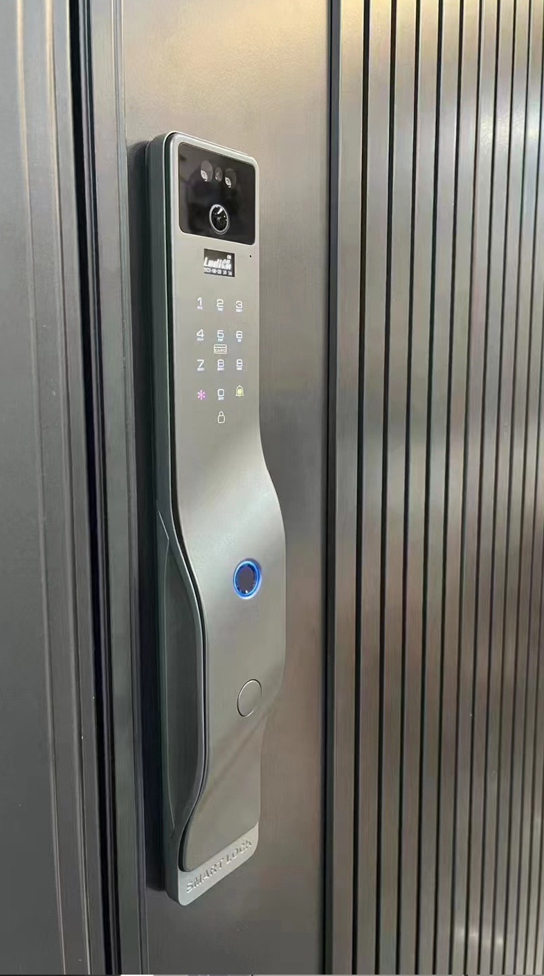 跨境多国语言全自动掌静脉智能锁_14.jpg