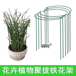 Plant Flower Stand Anti-Fall Fixator Money Tree Monstera Potted Plant Support Rod Climbing Vine Round Iron Flower Stand
