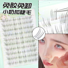 С�̺����z�ٽ�ë�����۽�ë�ֶ���Ȼ늲����ļٽ�ë��ϵ�ٽ�ë