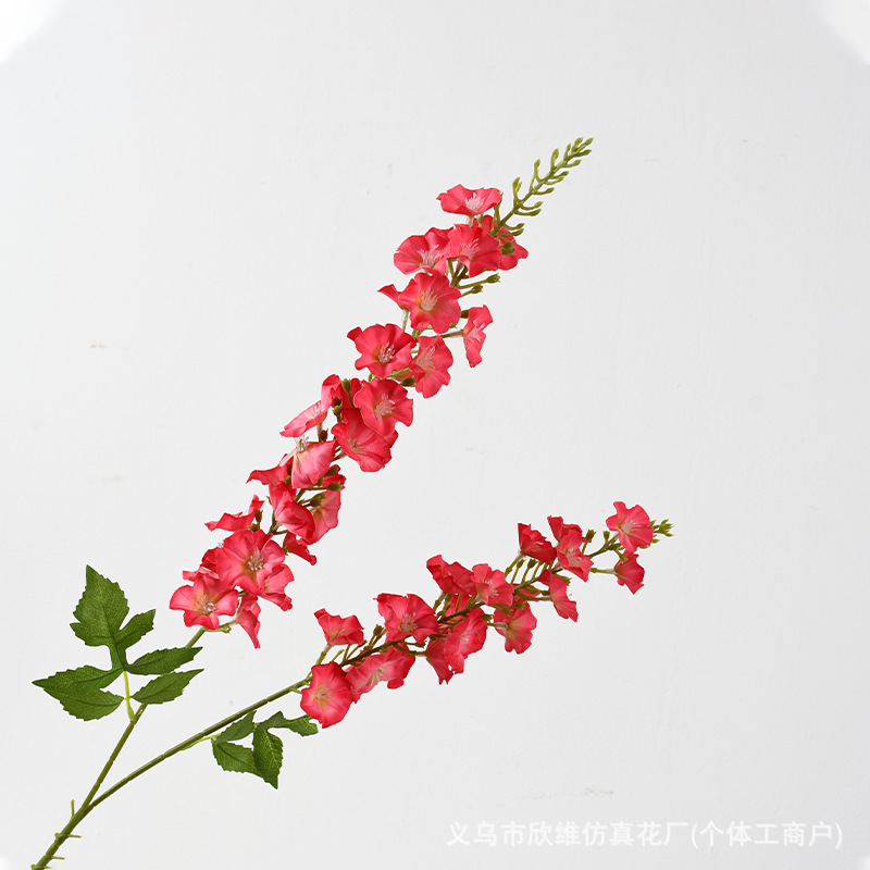 2 forks Qianxun rose red