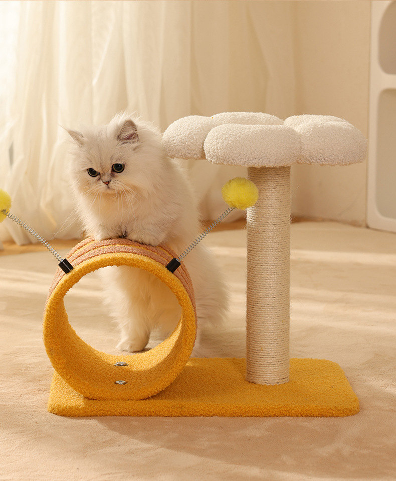 Cadre rampant pour animaux de compagnie Nid de citrouille Plateforme de saut Pilier Petit griffoir Jouet pour chat_voghion.com
