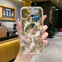 ɭϵ����ƻ��17P͸������԰�������iphone16pro�ǿ����ֻ���Ů��