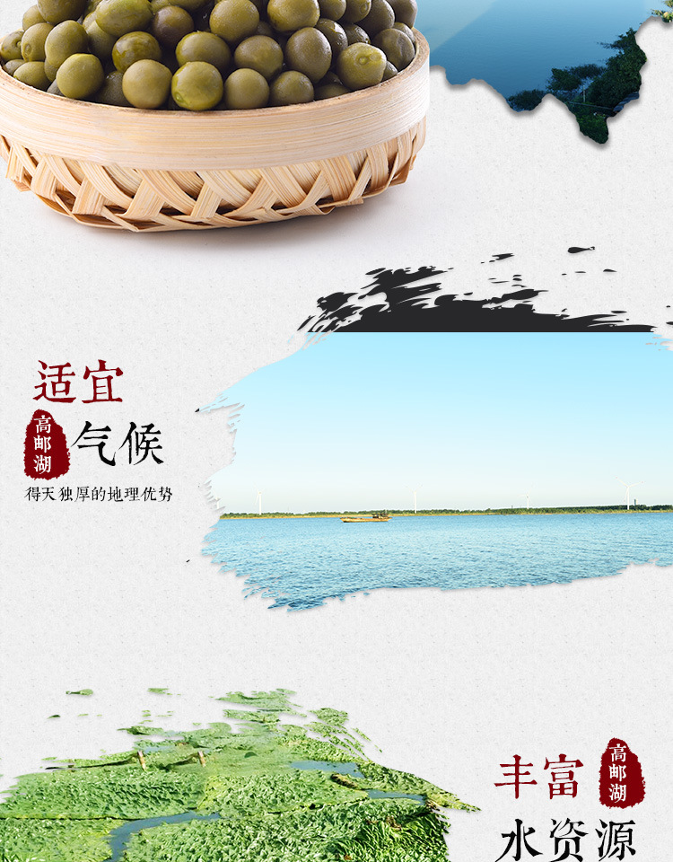 Fresh Frozen Gorgon Fruit Qian Shi Euryale Ferox Seeds 500g Bag Culinary Grade overview
