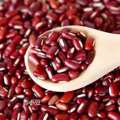 Adzuki Beans wholesale new goods Red bean Coarse Cereals Red adzuki beans Red bean Job's tears Grain Coarse grains Manufactor