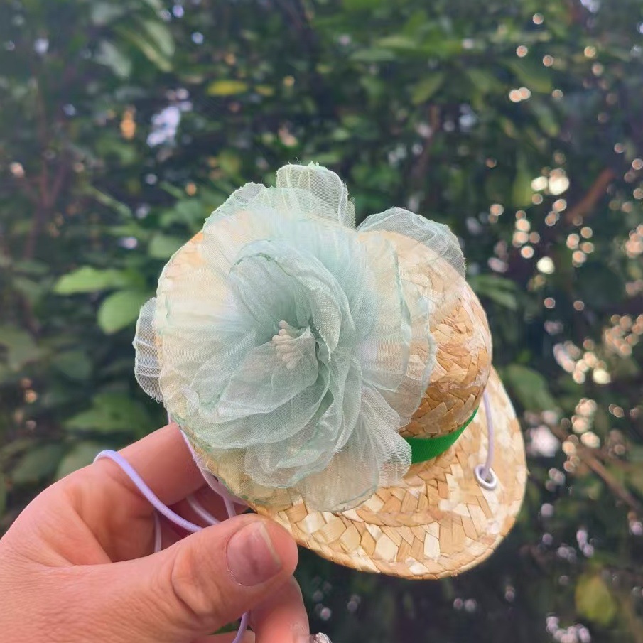 微信图片_20250327184622_副本