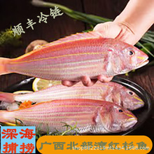 ��S���]�������tɼ�~���~����w���r���r���r��~�tɼ�~��