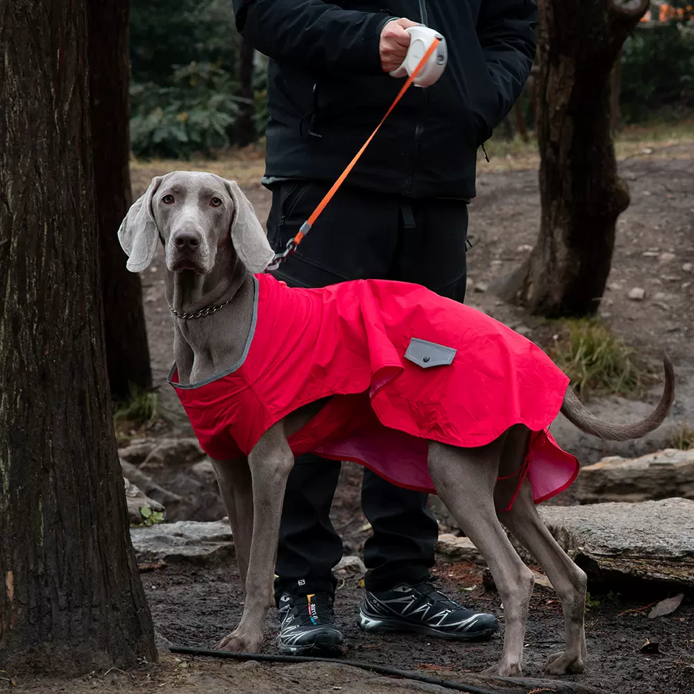 宠物衣服批发户外防水猎犬户外披风反光狗狗冲锋衣大型狗雨衣