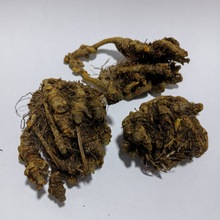 ���l�S�B�uצ�Bɢ�b�Q��