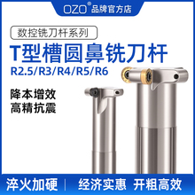 OZO����t��㊵�r��t�ΈA��㊵����������^�_��T�ͲۈA��㊵��UTMR