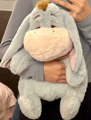 ロバが高くそびえるぬいぐるみeeyo眠れないかわいい萌え人形ネット赤玩具ロバ誕生日プレゼント