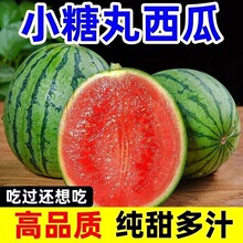 ��S ����ɽ�|С����6���������rˮ������������������϶�֭���]