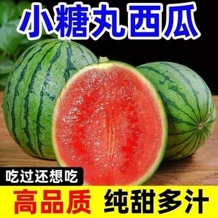 ��S ����ɽ�|С����6���������rˮ������������������϶�֭���]