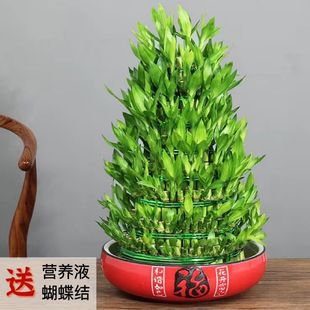 �����߸��F��ˮ�B�ļ��_�Iˮ����լ�k���҃ȾGֲ�Y��͏d���w