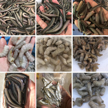 ~ό~ʳrr~ʳrrι~Сrq