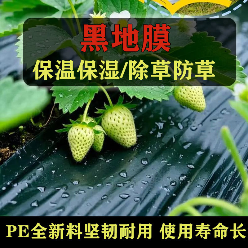 黑地膜 黑色地膜 农用薄膜保温黑地膜除草膜农用黑地膜农用黑地膜