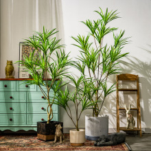 GֲѪm҃ȴǧľֲ͏db쾰[