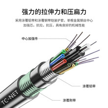 �ǽ����������z���|GYFTY53  �������GYTA53���|