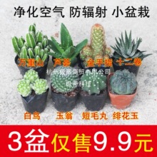 ����ֲ��������С��������ָ�����k������[���҃������ƽM������