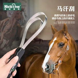 狗狗清洁;口腔清洁;宠物梳子