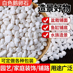 Factory supply white cobblestone landscape paving landscaping white gravel dry landscape landscaping white stone washed stone
