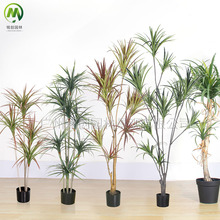 ���;Gֲ�b�ǧ��ľ�F�������Ѫ��پGֲ �҃�ܛ�b�쾰����Gֲ