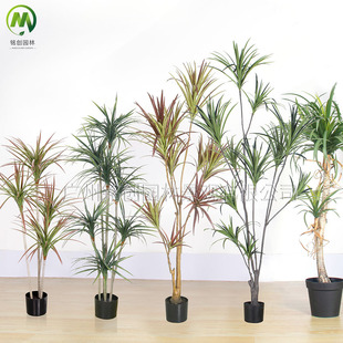 ���;Gֲ�b�ǧ��ľ�F�������Ѫ��پGֲ �҃�ܛ�b�쾰����Gֲ