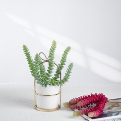 源頭 6頭銅錢串三色 假花歐式仿真花 微景觀多肉仿真綠植MW17662